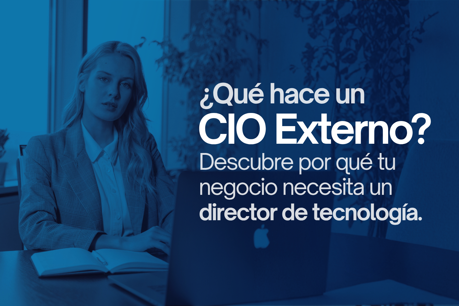 Que hace un CIO as a Service